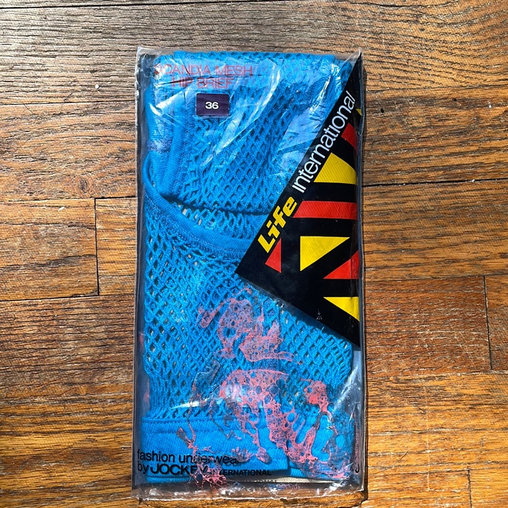 Vintage Life International Scandinavian mesh hip brief. 1970’s blue